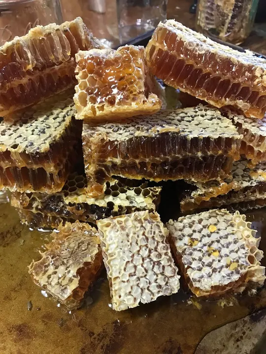 Fresh cut pieces of honeycomb