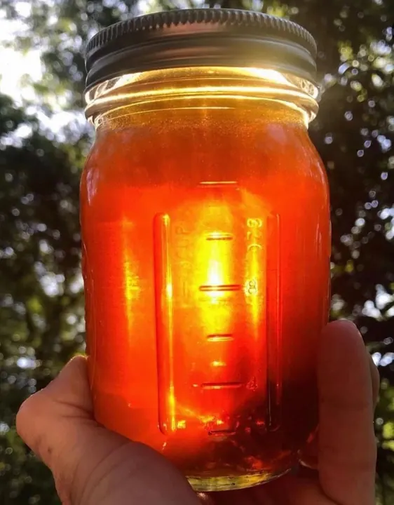 Jar of honey glowing in sunlight